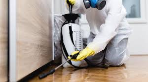 Best Real Estate Pest Inspections  in Northport, AL